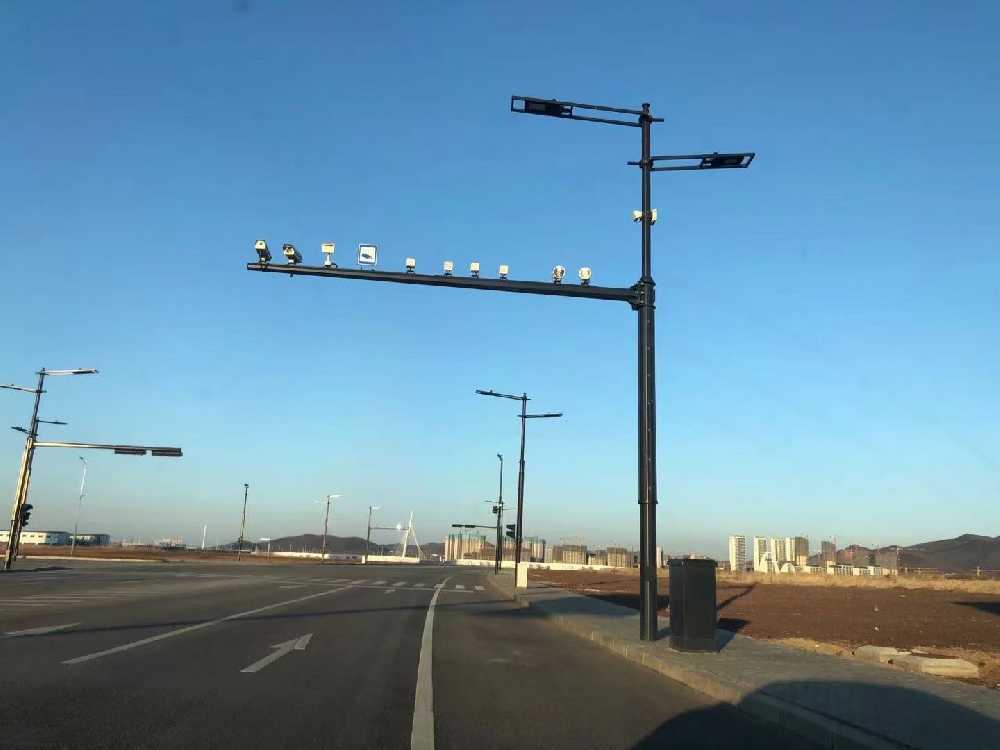 葫芦岛市黑龙江佳木斯综合路灯杆项目